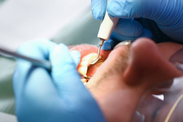 Best Pediatric Emergency Dentist in Clawson, MI